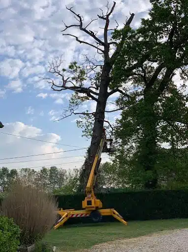 Travaux paysagers réalisés par TESSON Espaces Verts à Royville