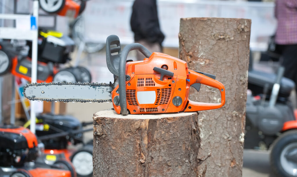 Rogneuse professionnelle en action sur une souche d'arbre à Royville