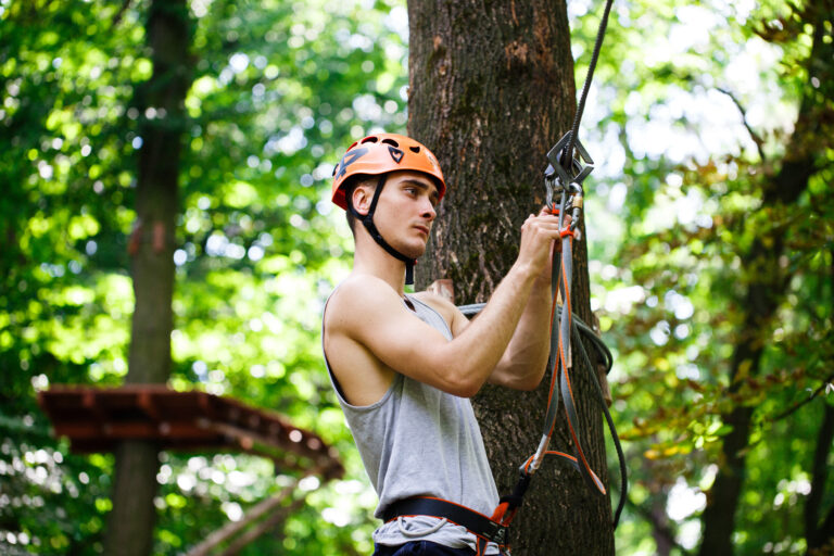 Quand élaguer un arbre : périodes, techniques et conseils pro