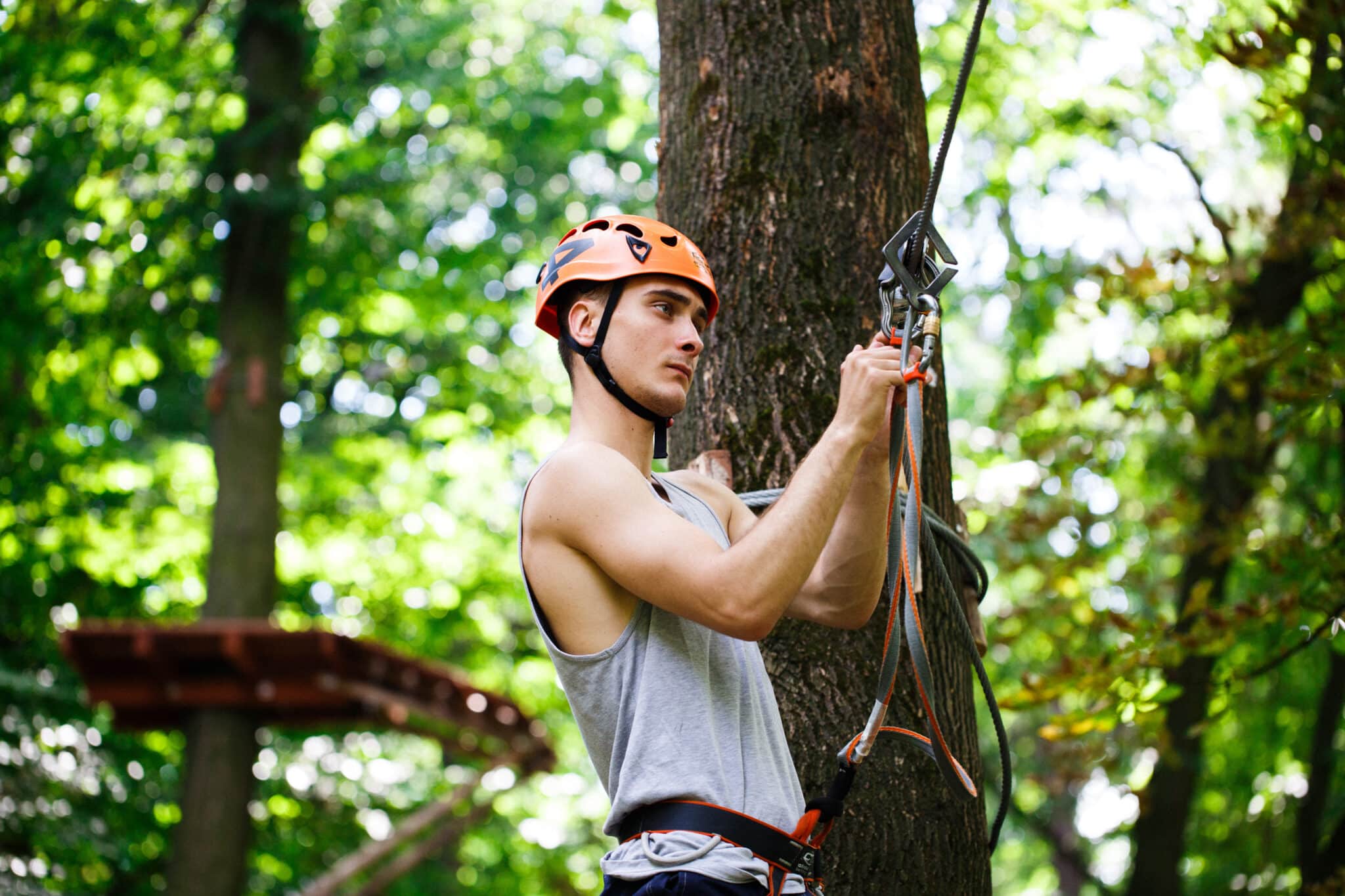 Professionnel de l'élagage se préparant à grimper dans un arbre à Royville