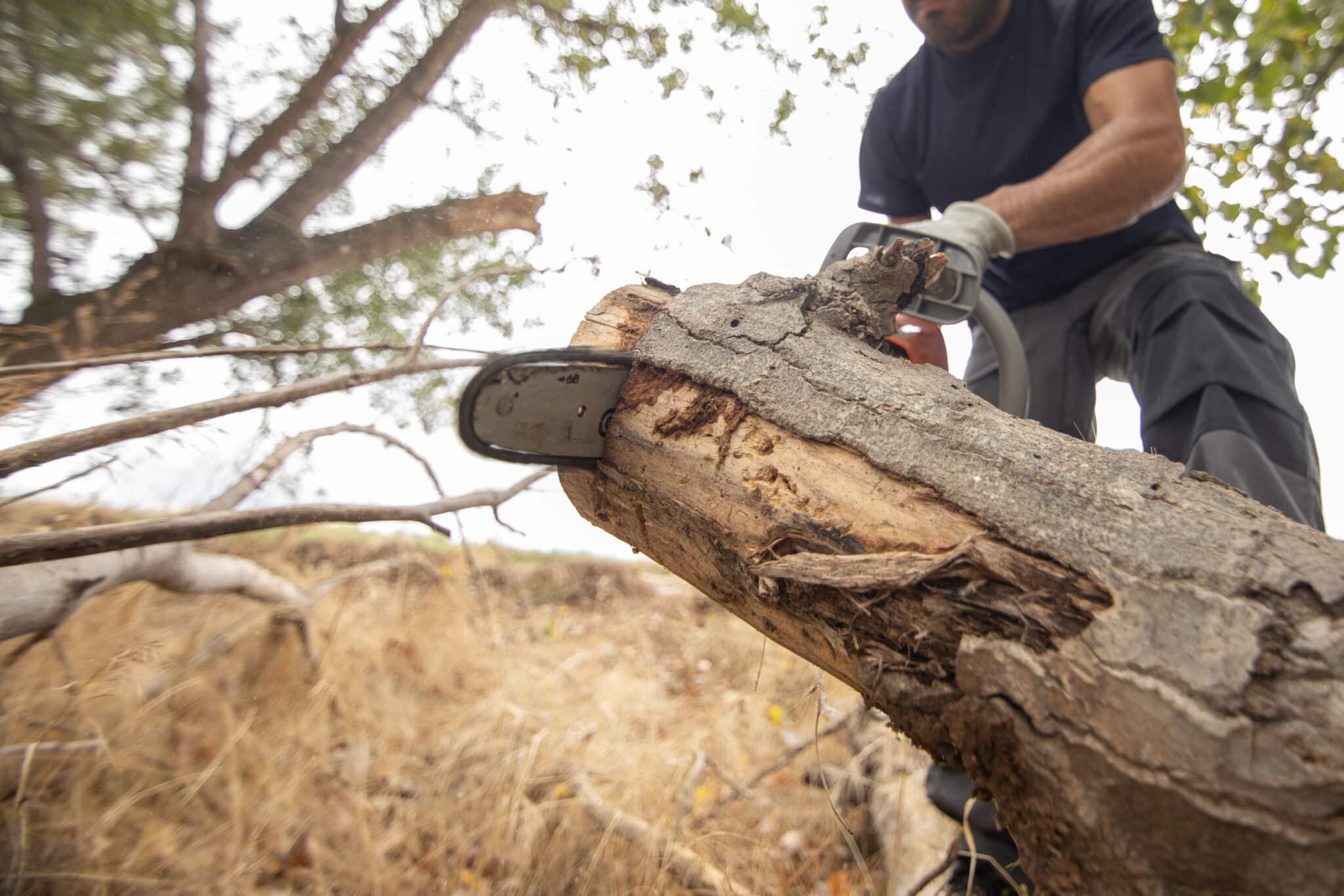 Broyeur professionnel en action sur des branches à Royville - TESSON Espaces Verts