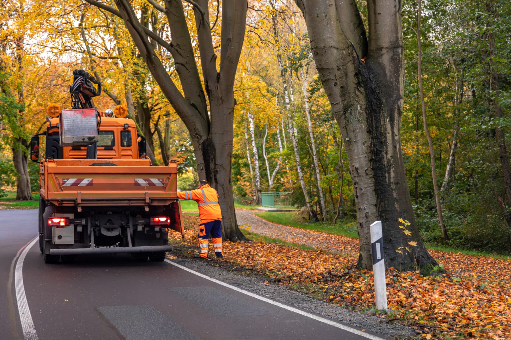 Évacuation des déchets verts et broyat de branches à Royville