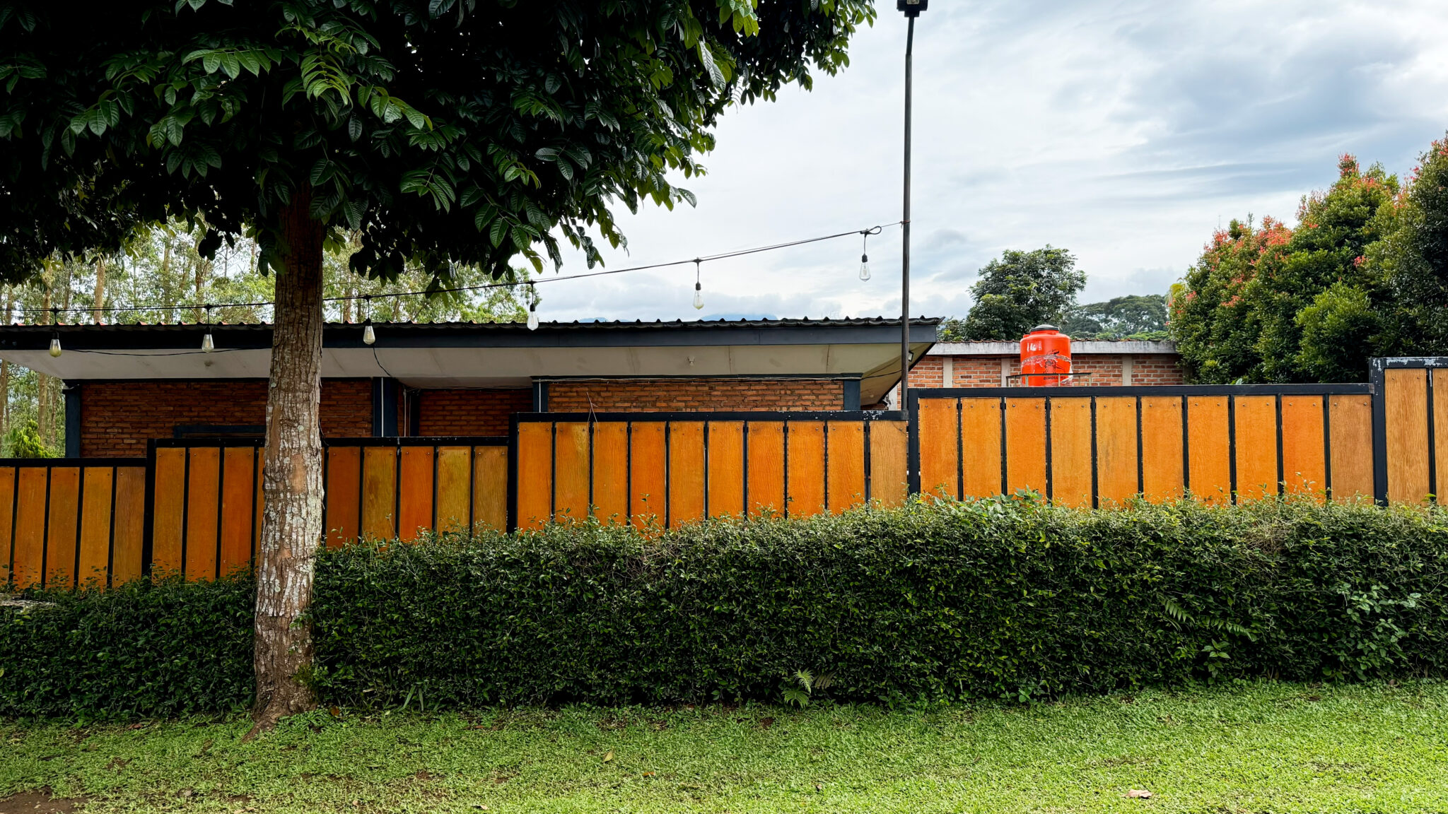 Clôture en bois moderne avec haie verte dans un jardin paysager à Royville