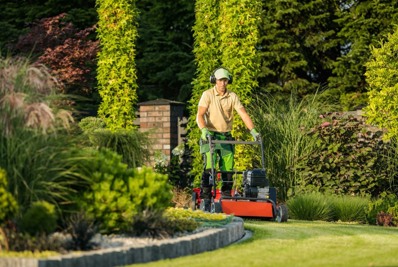 Entretien et tonte de pelouse de jardin à Royville