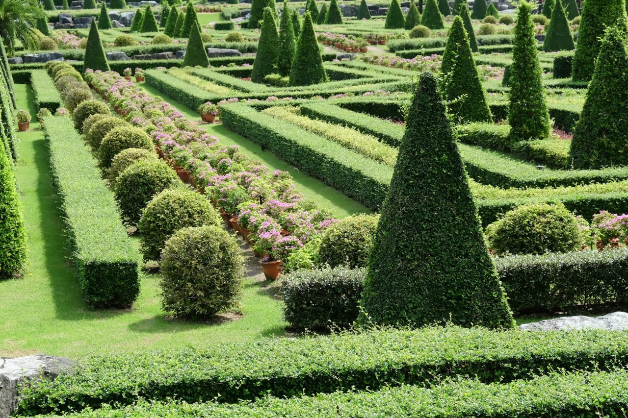 Allée de jardin paysager avec topiaires taillées à Royville