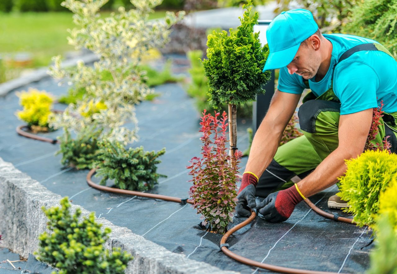 Système d'irrigation et arrosage automatique de jardin à Royville