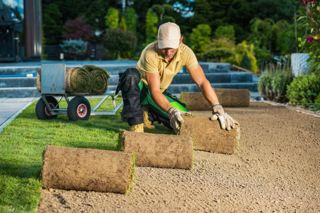 Installation de gazon en plaques dans un jardin résidentiel à Royville